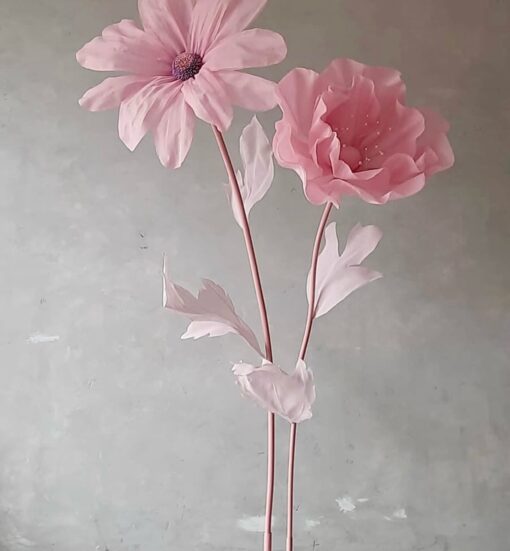 image of 2 Baby Pink Blooms