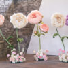 5 Blossom Chic Flowers