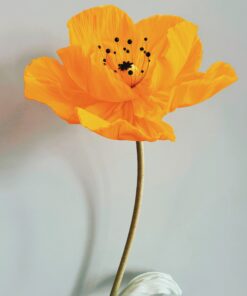 1 Orange silk bloom